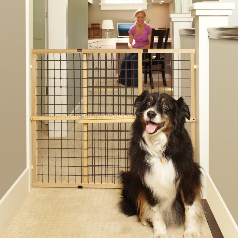 EXTRA-WIDE WIRE MESH PETGATE