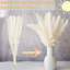 117 bouquets d'herbes de pampas séchées 117 pièces, décorations de table bohème, fleurs de lapin séchées, pompas brunes, herbes de pampas blanches pour mariage, maison, fête rustique, décorations de fête de naissance