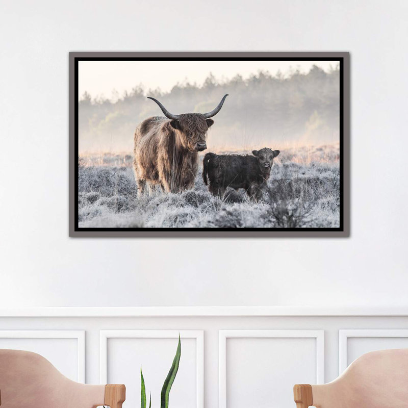 «Highlander and Calf», photographie, Toile encadrée de bois rustique foncé, H 18 po x l 26 po x P 1,5 po