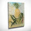 Ananas botanique - reproduction sur toile tendue-28761780
