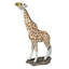 Gérard, la girafe