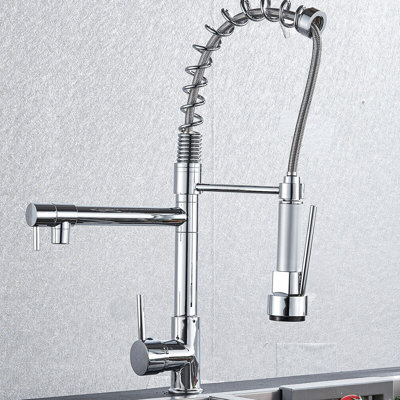 Belfry Kitchen Aucuba Kitchen Faucet Side Spray