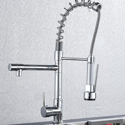 Belfry Kitchen Aucuba Kitchen Faucet