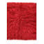 Tapis rouge Kalmanovitz