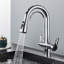 Belfry Kitchen Wilburg Pull Out Kitchen Faucet