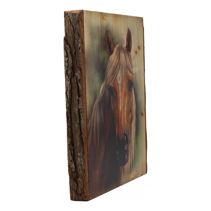 Décoration murale tête de cheval ebros rustique country western stallion