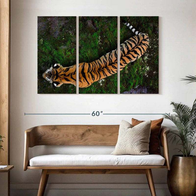 Brampt Tiger From Above, 32" H x 50" W