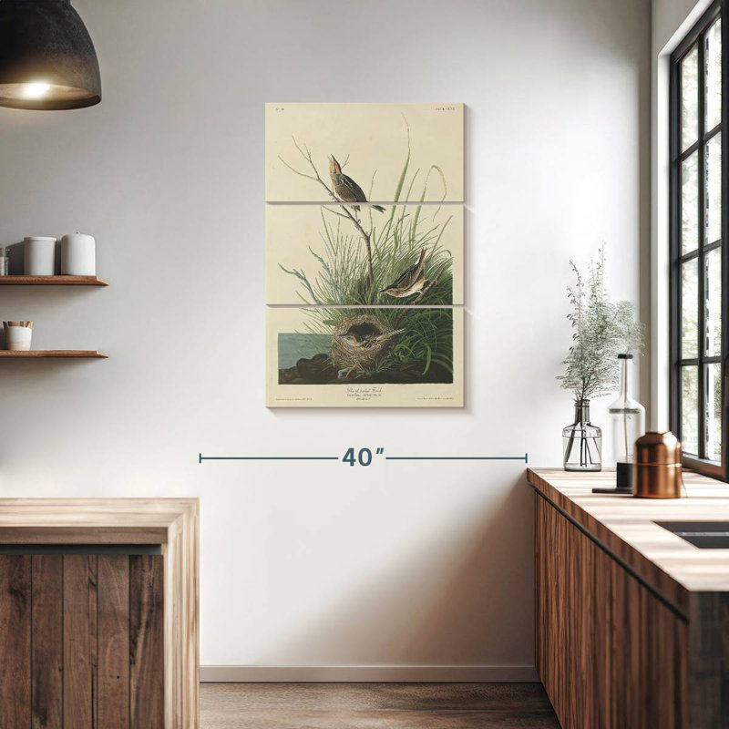 Keiri Sharp-Tailed Finch, 38" H x 24" W