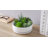 Aniecia Indoor Ceramic Flower Pot Planter