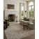 Loloi Clarisse Grey / Multi Area Rug