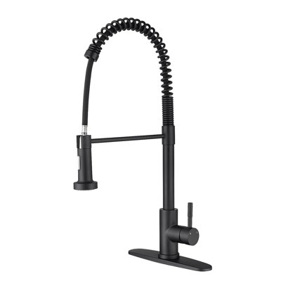 Kitchen Faucet With Pull Out Spraye