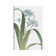 Summer Botanicals III - Wrapped Canvas Graphic Art