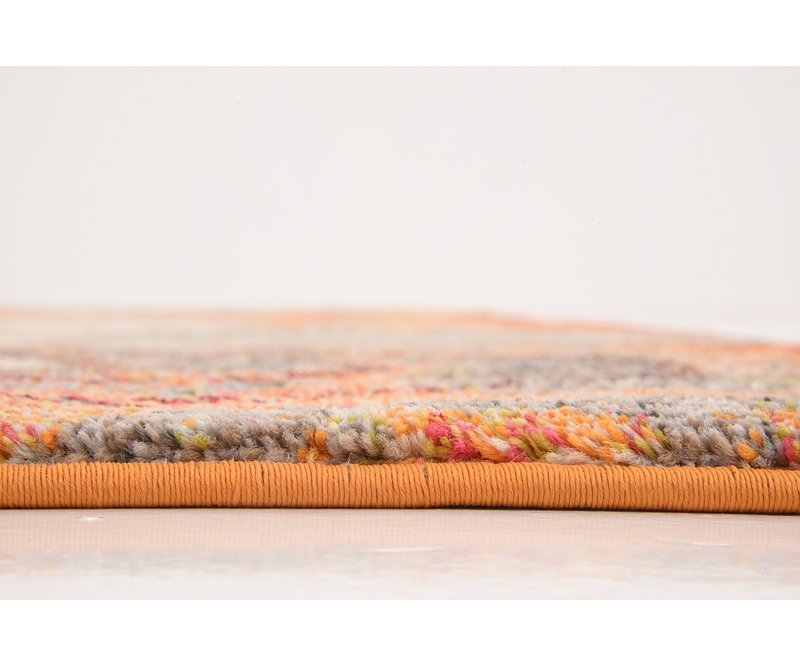 Langley Street Eddins Performance Orange Rug & Reviews | Wayfair