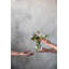 Chelsea Optic Posy Vase