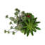 Plante artificielle