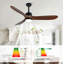Ventilateur de plafond Quiet