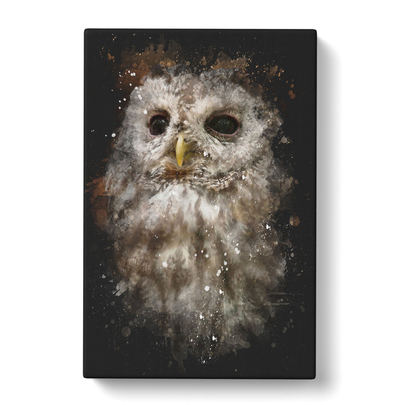 Tawny Owl Vol.1 - Wrapped Canvas Print, 76cm H x 50cm W x 3cm D