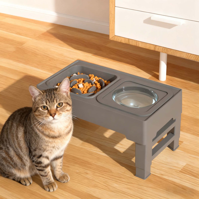 Bols pour chiens et chats 2 en 1 avec support réglable à 4 hauteurs pour chiens et chats de grande taille