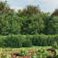 Baftije Wire Mesh Fence with Flange-312186534-312186533-312186530