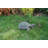 Turtle Statue