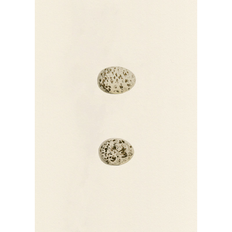 by Studio L57 Nouvelle, 15" H x 12" W