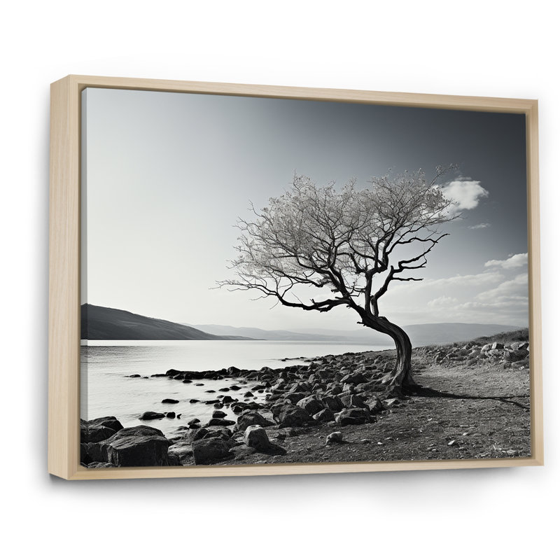 Magnifique arbre en noir et blanc, photographie de lac - art mural lac, H 30 po x l 40 po x P 1,5 po, Cadre naturel flottant