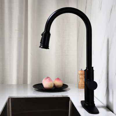 Robinet de cuisine avec douchette extractible - Noir mat: acier inoxydable, buse rotative à 360 °, finition du traitement de résistance à la corrosion, fonction de réglage du débit d'eau à poignée simple - noir
