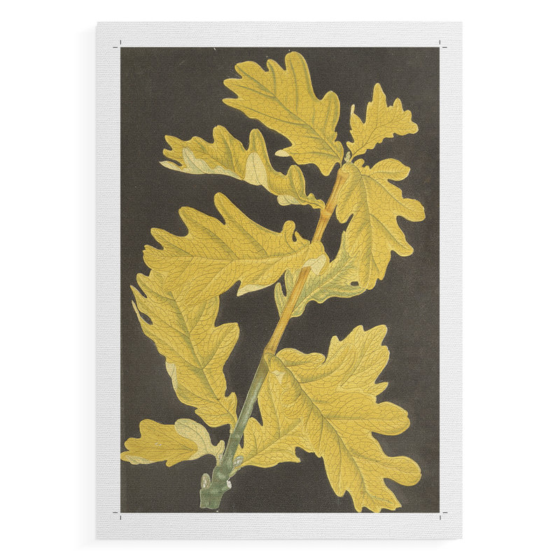 Imprimé floral rétro CCXLVI - reproduction de toile seulement - non encadrée, H 27 po x l 18 po