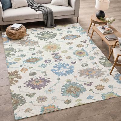 Machine Washable Indoor/Outdoor Chantille ACN2532 Traditional Rug