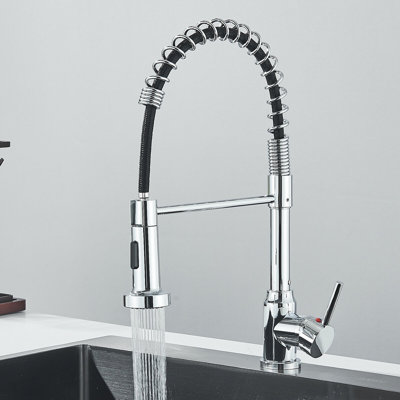 Belfry Kitchen Castlereagh Kitchen Faucet