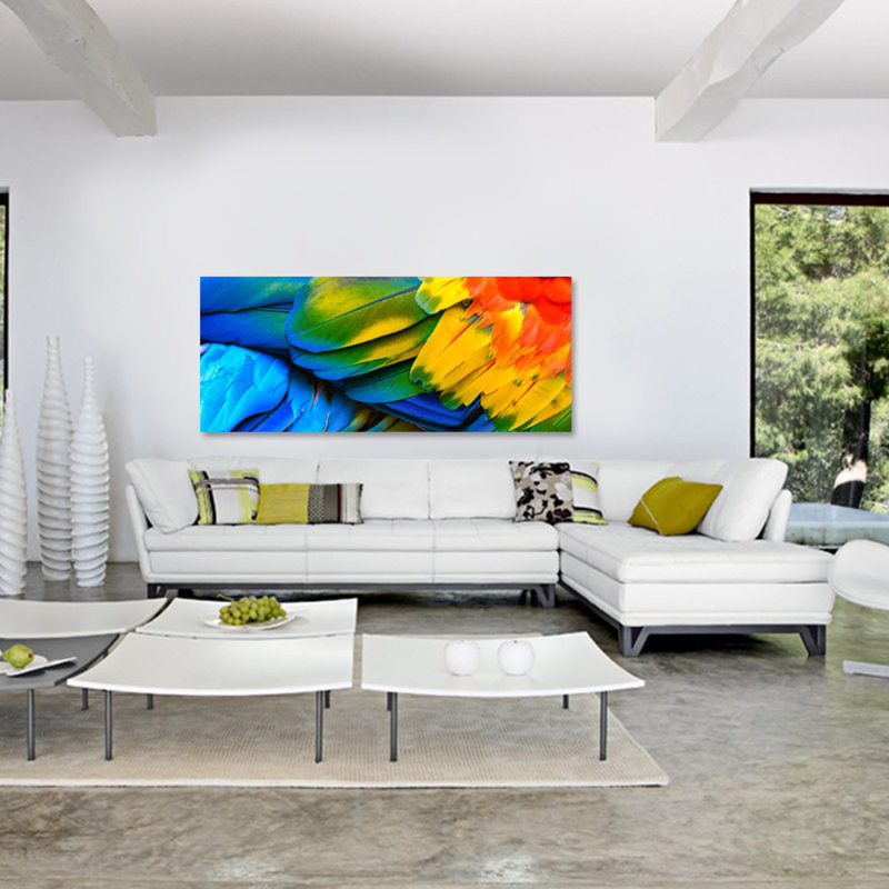 Rainbow Feathers One - Unframed Panoramic Graphic Art, Plastic/Acrylic