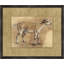 Charcoal Animal Collection 2 Framed Print