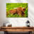 Brampt Red Highland Cow-108818483