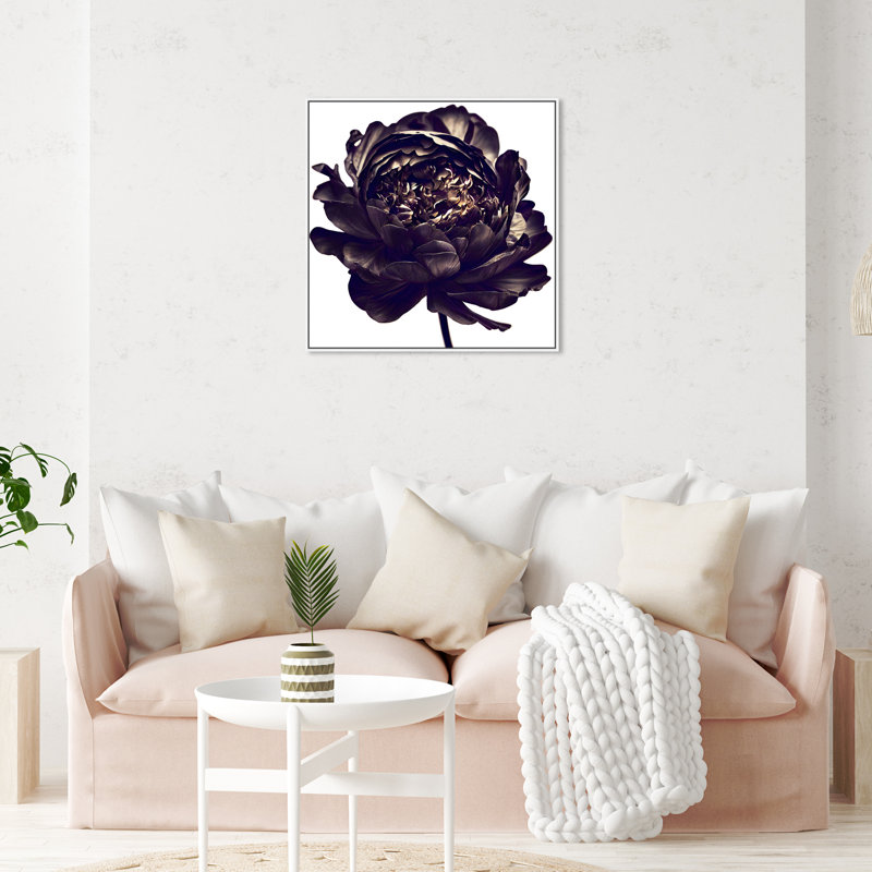 Pivoine noire - Impression sur toile, Cadre blanc, H 31 po x l 31 po