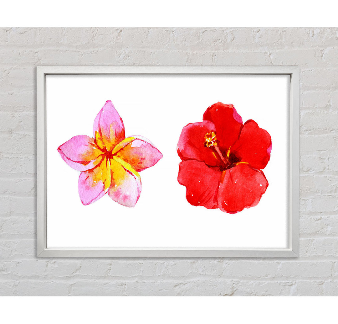 Amaryllis Beauty - Einzelner Bilderrahmen Kunstdrucke auf Leinwand