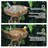 Lekevia Resin Birdbath
