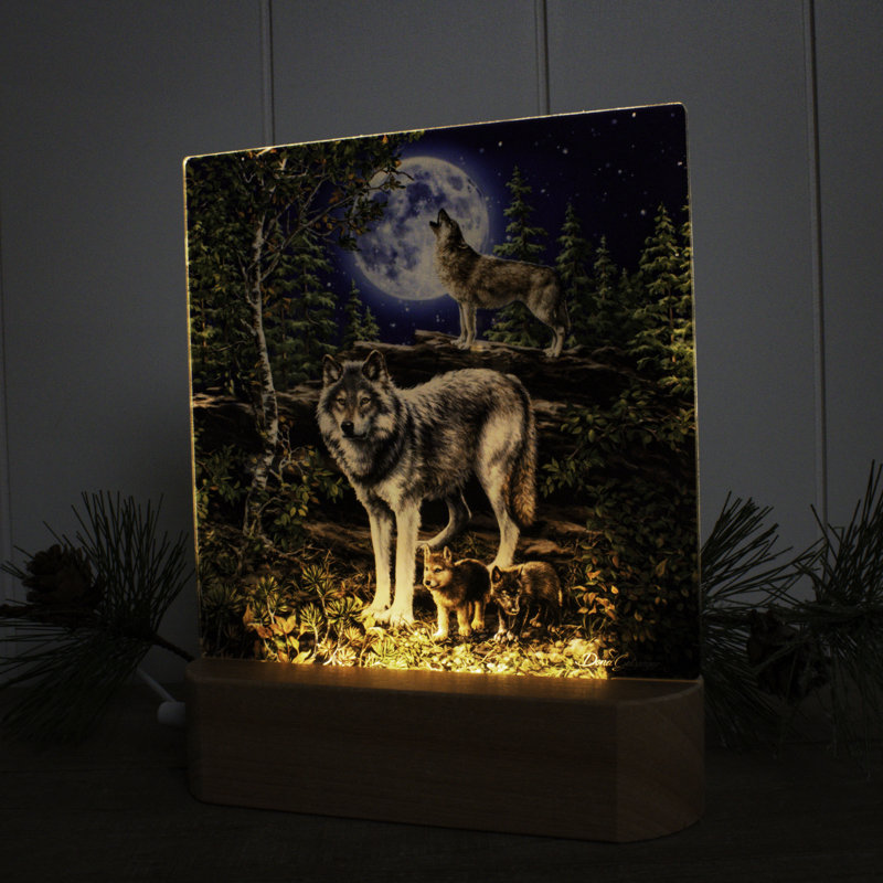 Time to Reflect DEL Nightlight