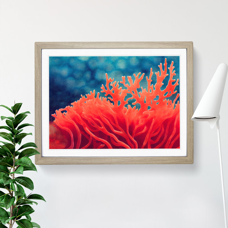 Coral Reef Vol.1 - Framed Print, 25cm H x 34cm W x 2cm D, Oak Framed