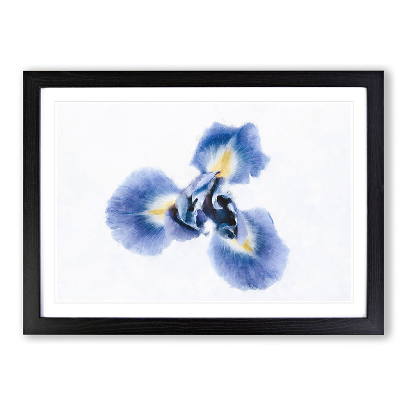 An Iris Flower In Blue - Picture Frame Painting Print, Black, 45cm H x 63cm W x 2cm D