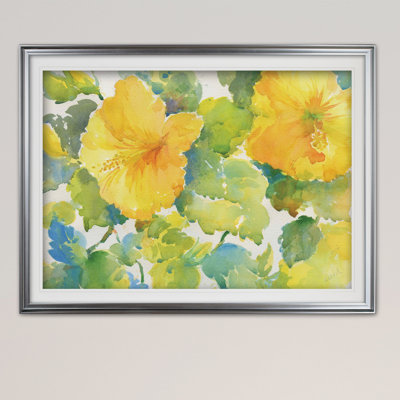 " Citrus Hibiscus "