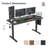 STARY Electric Standing Desk Adjustable Height Sit Stand Home Office Desk With Splice Board-1335048058-1335048059