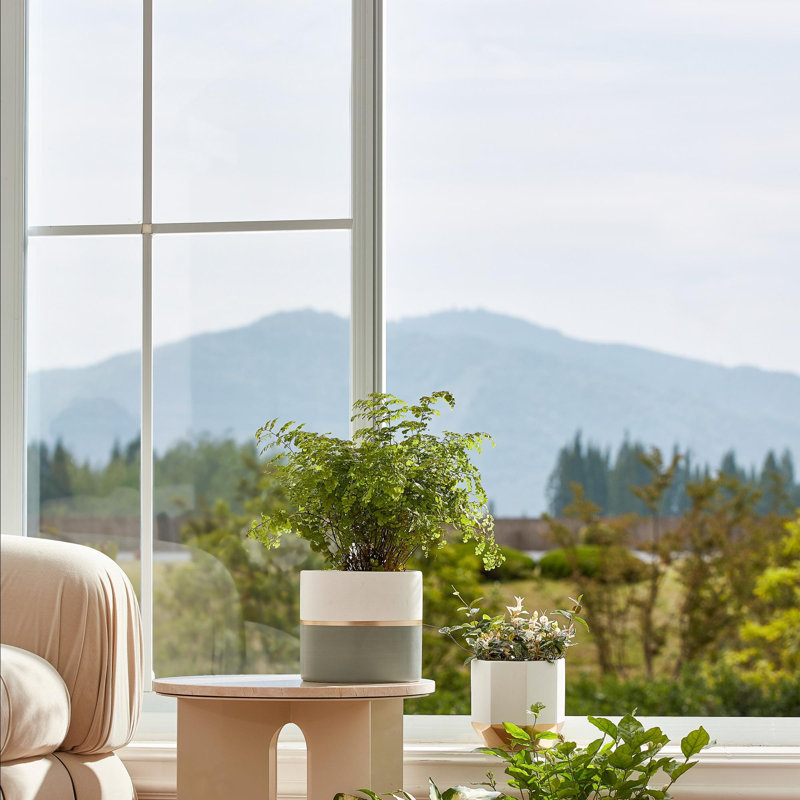 Chanko Ceramic Pot Planter, White