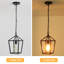 Luminaire suspendu de style lanterne à 1 lumière Merinda