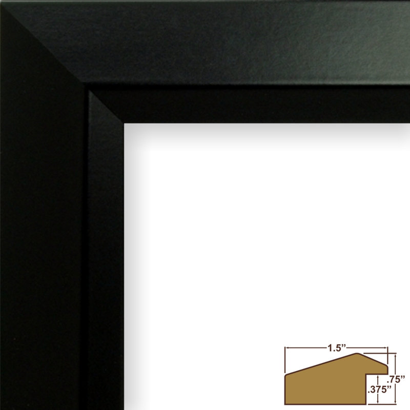 Daelan Beveled Picture Frame - Set of 2, 11" x 14", Black Satin Mica