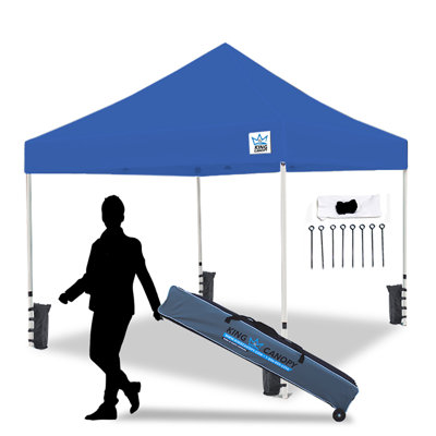 Ares 10Ft by 10Ft Commercial Instant Pop up Canopy with Weight Bags