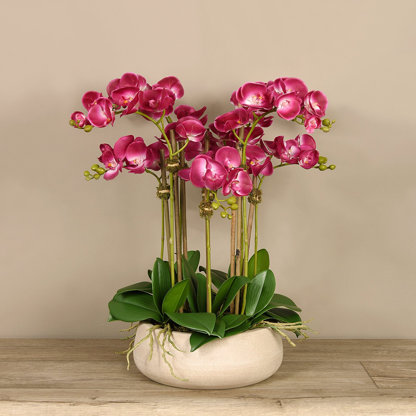 Orchid Floral Arrangement in Planter
