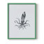 Marine Life II, reproduction encadrée - bois massif-1872713985-1872713986
