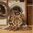 Machine Washable Persian Brown Area Rug-399266242