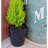 Bamboo Blooms 7" Round Sage Green Self-Watering Indoor/Outdoor Bamboo Plant Pot Oddie