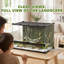 Reptile Box